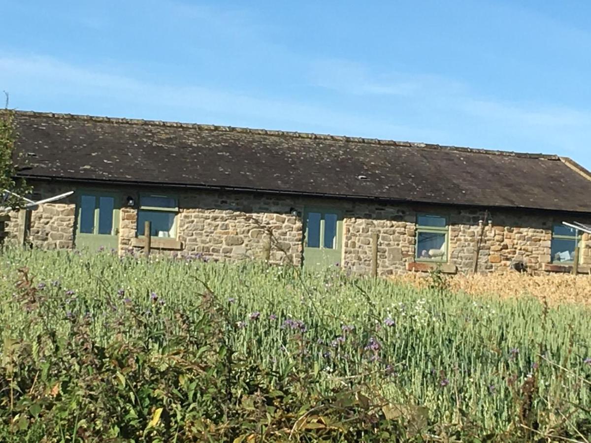 Riding Farm Cottages Gateshead Exterior foto